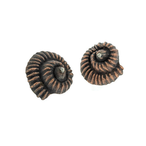 Copper Ammonite Shell Studs with Silver Accent