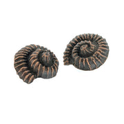 Copper Ammonite Shell Studs